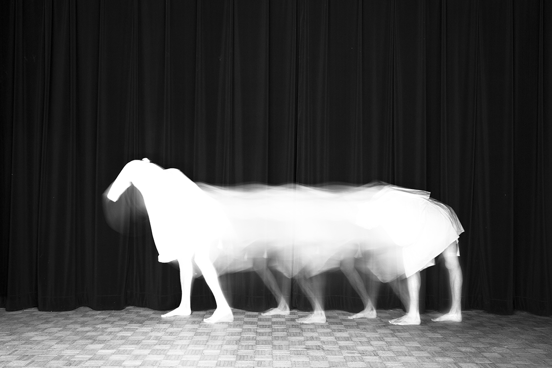  Title: Le cheval, Animalocomotion series, 20x30 cm, Backlight print on lightbox, 2015 