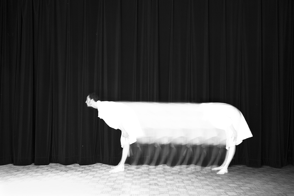  Title: La vache, Animalocomotion series, 20x30 cm, Backlight print on lightbox, 2015 