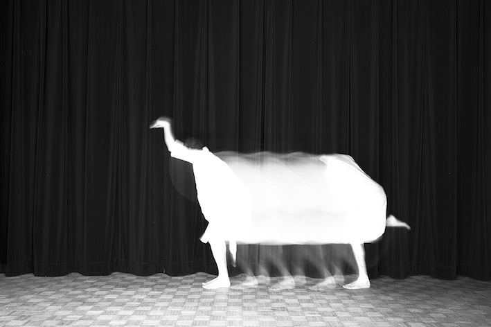 Title: L'autruche, Animal locomotion series, 20x30 cm, Backlight print on lightbox, 2015