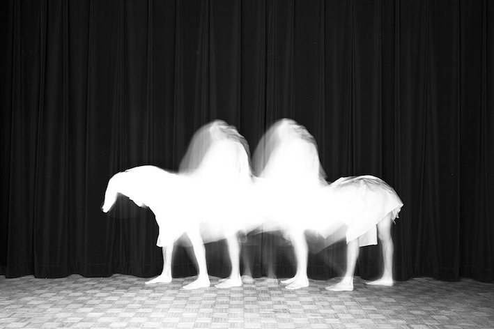 Title: Le chameau, Animal locomotion series, 20x30 cm, Backlight print on lightbox, 2015