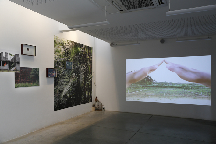 Exhibition view - Ibiscube - House of architecture french Guiana - Biennial Les Rencontres photographiques, 2017